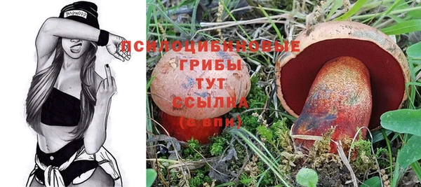 спиды Горнозаводск