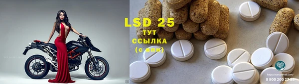 спиды Горнозаводск