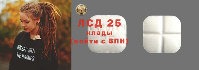 прущие грибы Володарск