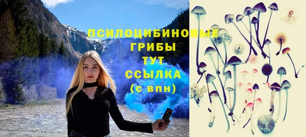 эйфоретик Горняк